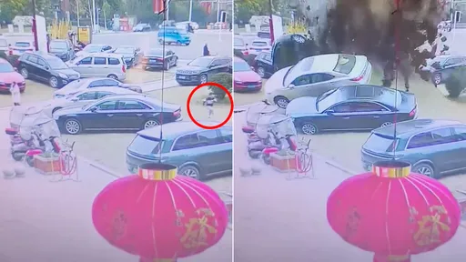 影片|一枚代價100萬元的鞭炮 屁孩炸糞坑把車輛路面全掀了