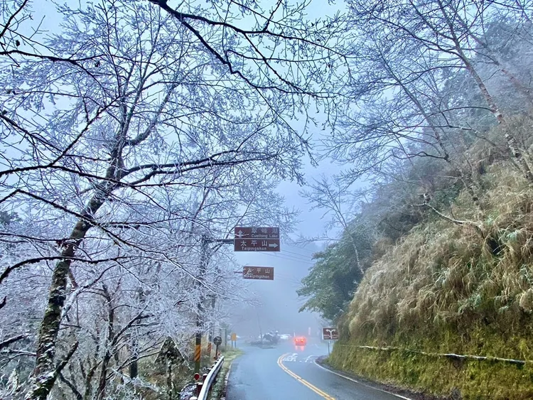 通往太平山莊的聯外道路及翠峰湖附近也都變成雪白世界。翻攝自太平山國家森林遊樂區臉書