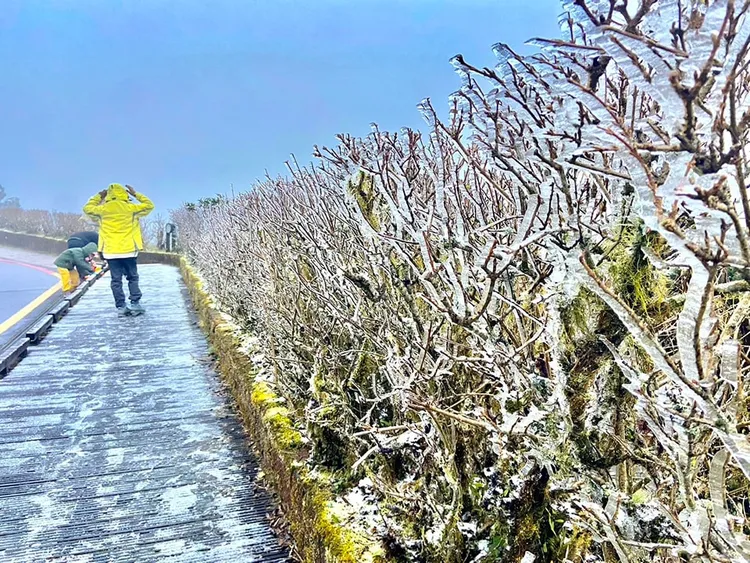太平山國家森林遊樂區今天凌晨一度降下冰霰。翻攝自太平山國家森林遊樂區臉書