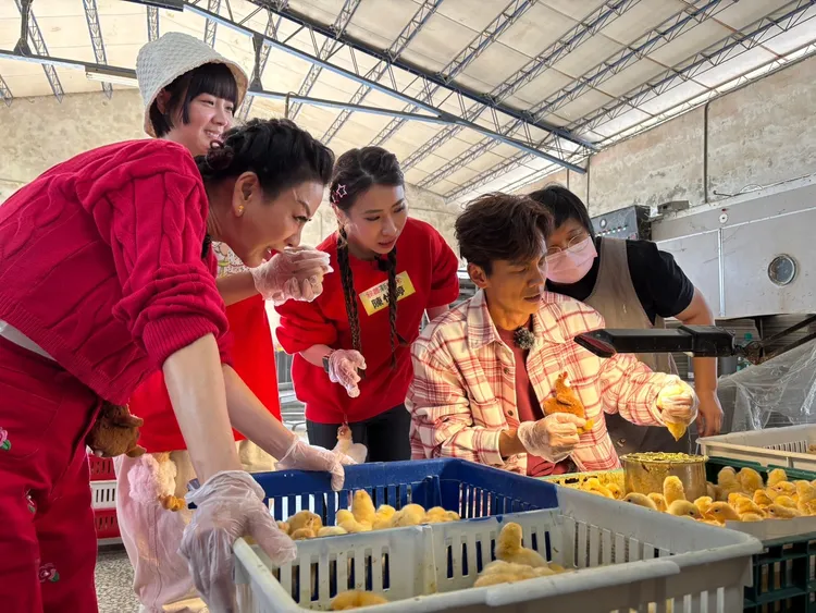 楊繡惠（左起）、籃籃、陳怡婷、阿翔等挑戰烏骨雞的養殖任務。民視提供