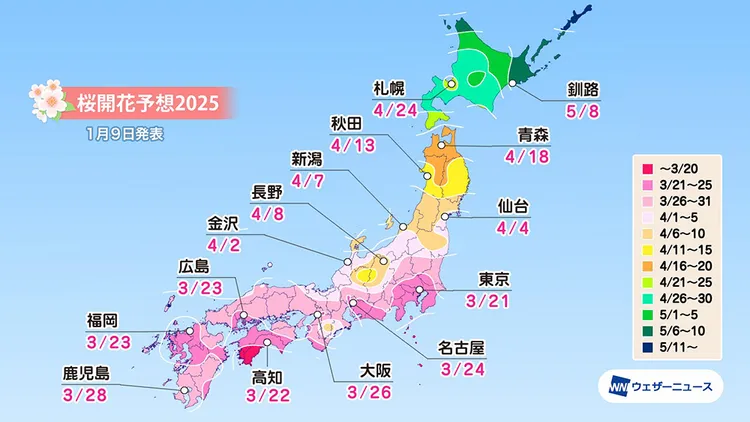 日本氣象新聞公司櫻花預測。翻攝自日本氣象新聞公司X