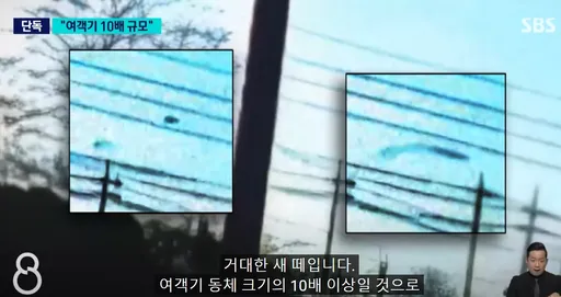 關鍵畫面!濟州空難疑撞上「比客機大10倍鳥群」 整團黑雲狀閃過