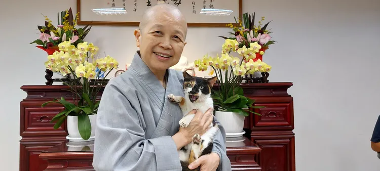 釋昭慧呼籲媒體轉台。翻攝釋昭慧臉書