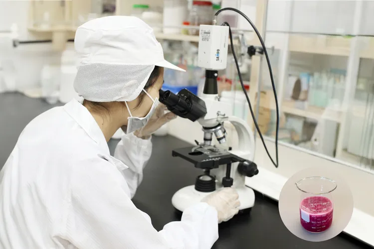 工研院攜手企業、食物銀行為紅龍果華麗轉身。工研院提供