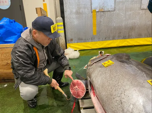 東京黑鮪魚拍出2億龍宮價 吃一盤生魚片破萬元