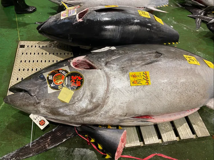 X鮪匠（まぐろのたくみ）