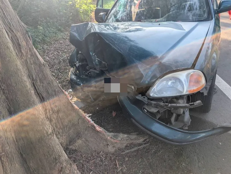 李男開車自撞路樹，車頭嚴重受損，人因傷重不治。民眾提供