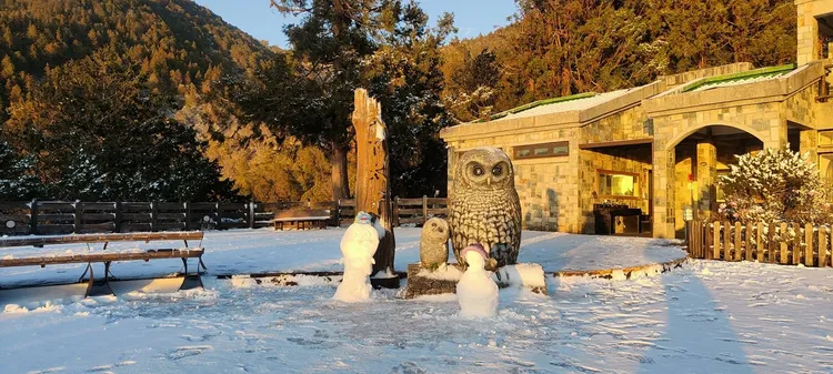 太平山積雪景象。翻攝《太平山國家森林遊樂區》臉書