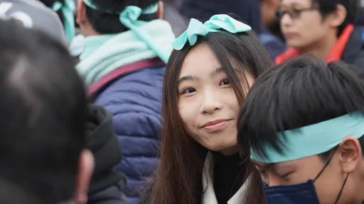 民眾黨「釘孤枝」集結抗議 黃國昌:不分黨派對綠色威權怒吼