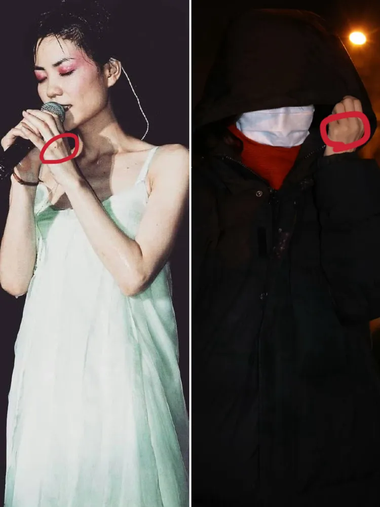 昨有網友PO照稱王菲參加春晚彩排，不過粉絲指出該女手背沒有痣，應該不是王菲。翻攝呆若木一微博