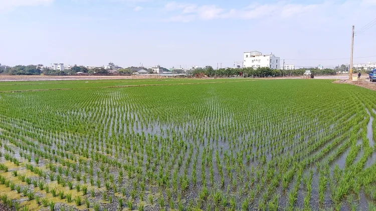 台南三大水庫水情穩定，民生及農業供水尚無虞。翻攝畫面