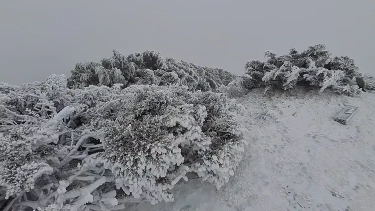玉山北峰積雪0.5公分。氣象署提供