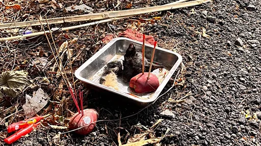 年初一恐怖祭祀! 神秘人「黑貓頭顱」當祭品村口插香拜拜