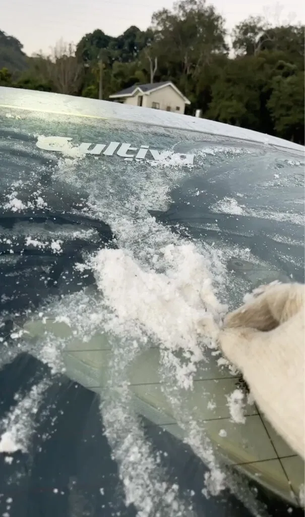 苗栗縣大湖鄉有農民清晨準備外出時，發現車輛的擋風玻璃結了一層霜，將冰霜刮除後堆成一個「愛心」苦中作樂。（民眾提供）中央社