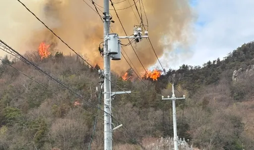 日本惊传山火!自卫队爆破训练引广岛火灾 烈焰延烧「仍难以控制」