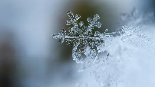 24岁女风雪天只穿内衣裤站屋外 竟是偷偷分娩随即雪堆埋杀女儿