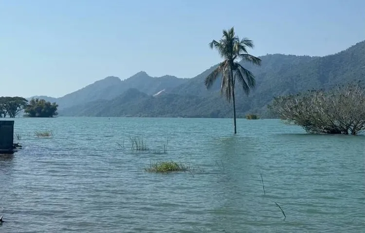 矗立在曾文水庫的前總統蔣介石銅像被震倒了，整尊銅像掉入水中，不見蹤影(圖)。大埔鄉公所提供