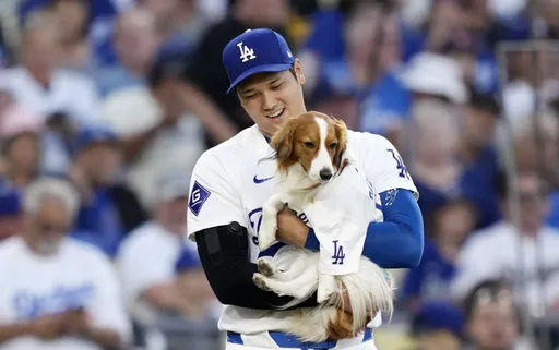 愛心不落人後!大谷翔平捐出50萬美元 幫助洛杉磯野火救災