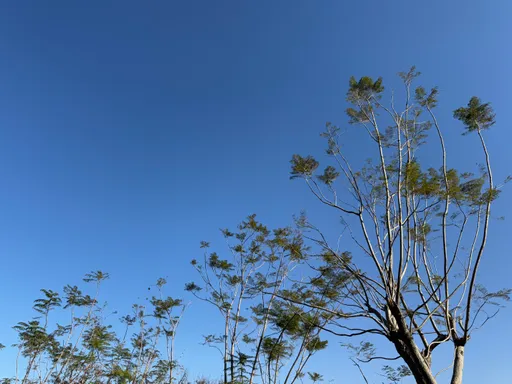 立春3生肖旺来 贵人助攻财运