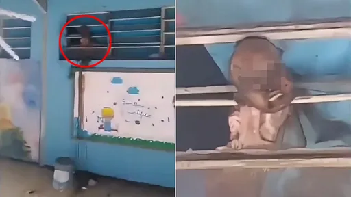 破窗潛入幼兒園行竊 他慘被玻璃放血懸屍窗框