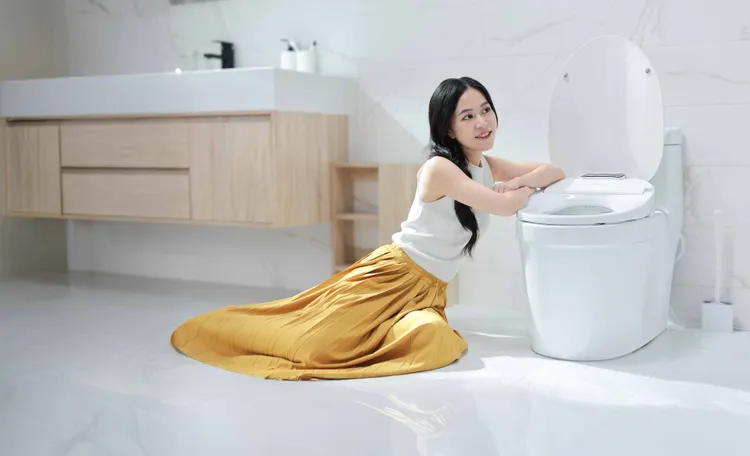 DIKE瞬熱式溫水潔淨便座，即將上市。DIKE提供