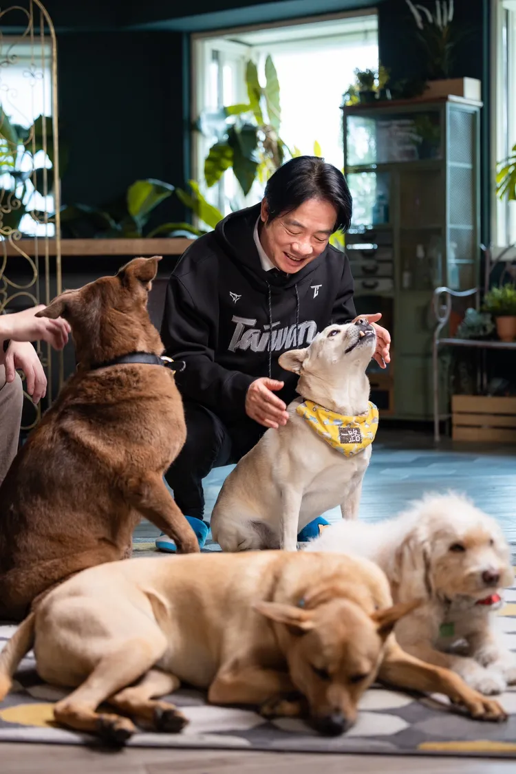 狗狗評審Choco、一路、乖仔、明大現場點評。總統府提供