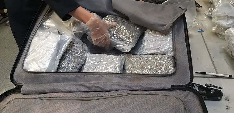 行李箱中搜出大麻。航警局提供