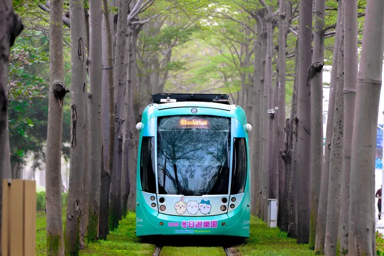 高雄輕軌初一、初二兩天運量都破9萬人次，卻有民眾批末班車標示不清。高市府提供