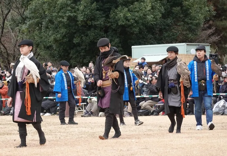 日本的鷹狩文化歷史逾1650年，而諏訪流放鷹術保存會歷史逾450年，希望讓此文化傳承下去，每逢新年在曾是德川將軍家的御鷹場的濱離宮恩賜庭園（位於東京汐留）表演放鷹術。 中央社