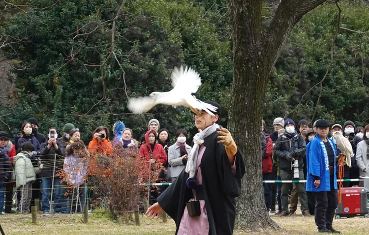 日本東京汐留的濱離宮恩賜庭園3日實施放鷹術表演，作為新年開園活動。該園在江戶時代是德川將軍家的御鷹場、明治時代是掌管皇室事務宮內省的鴨場，有鷹匠常駐。 中央社