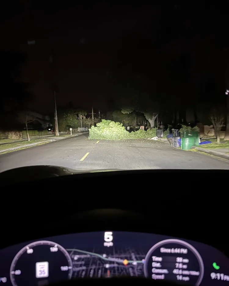 貝克宇開車看到颶風把很多樹都吹倒了。翻攝崔佩儀臉書