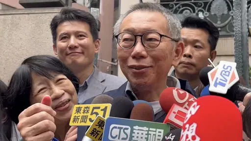 共識決是串證「有夠可笑」 陳佩琪:要叫王八狗屁決也尊重啊