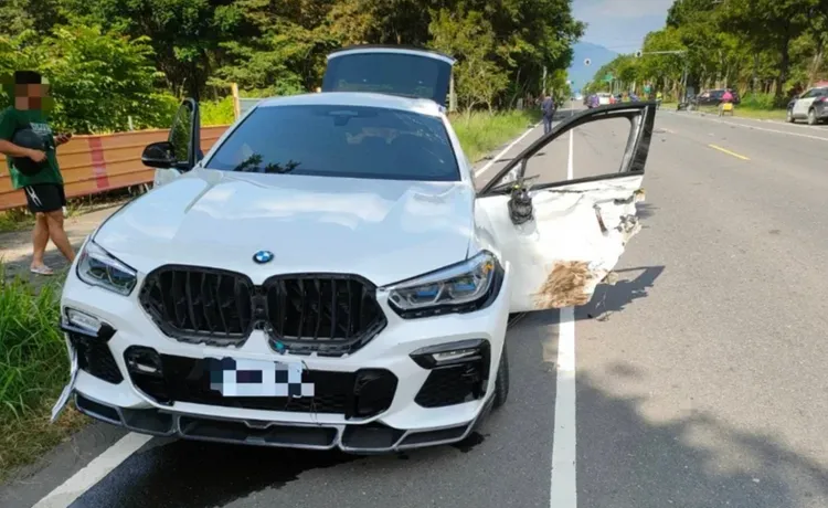 BMW顏姓駕駛傷重成植物人。翻攝畫面