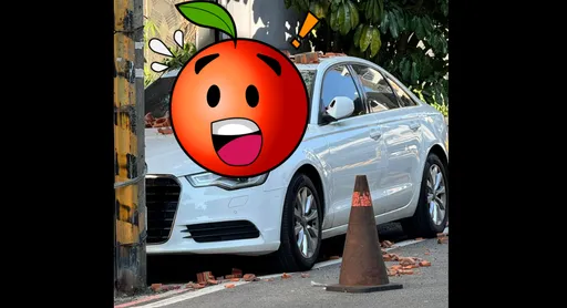 車停路邊慘遭空襲「奧迪變凹迪」　停紅線要賠嗎？內行人解答了