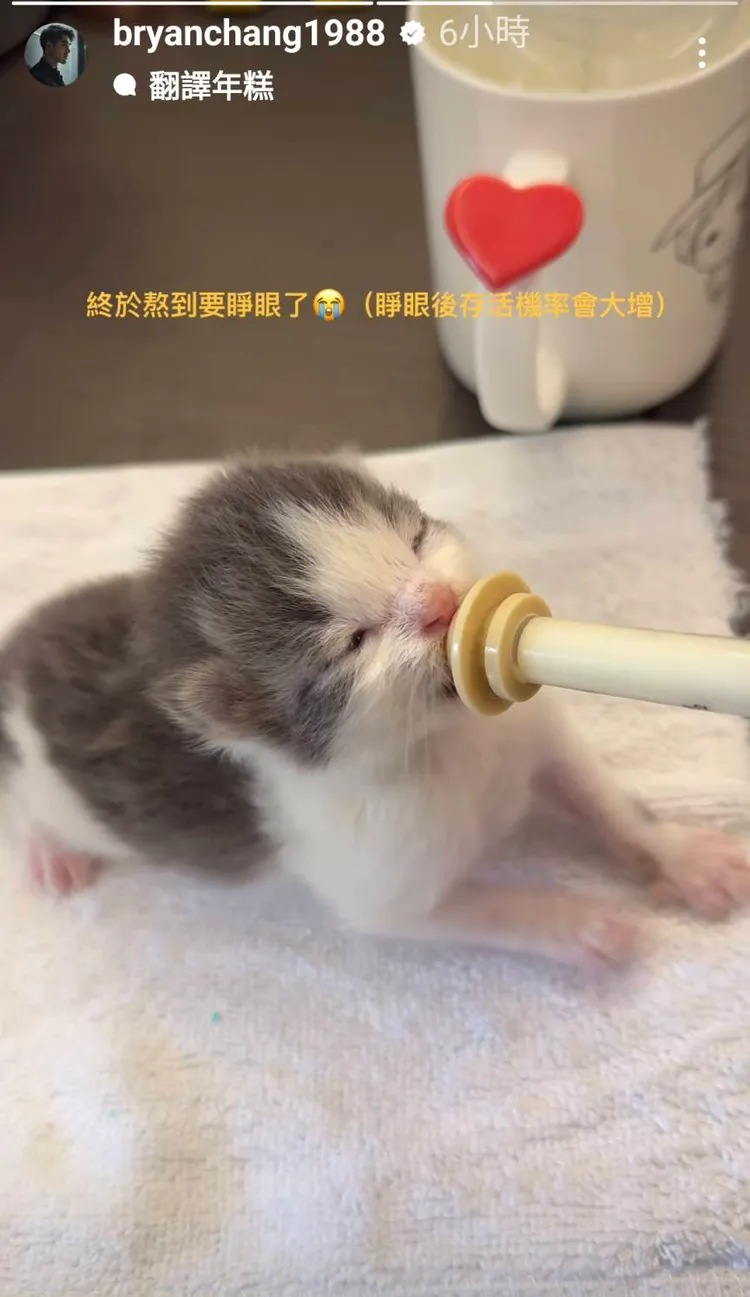 張書豪不畏辛勞每天晚上都起來餵小仔。翻攝自張書豪IG