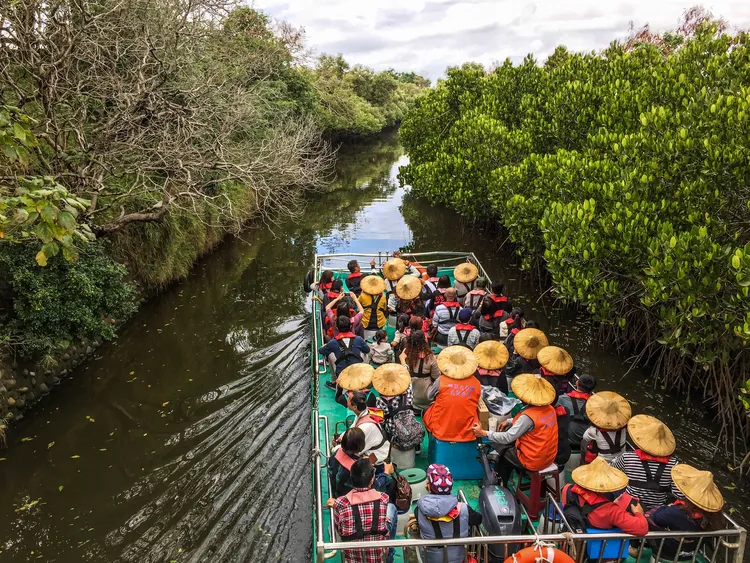四草綠色隧道值得一遊。南市府提供