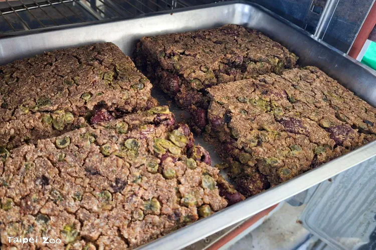 台北市立動物園推出「青豆紅棗猴米糕」獲得許多動物喜愛。台北市立動物園提供