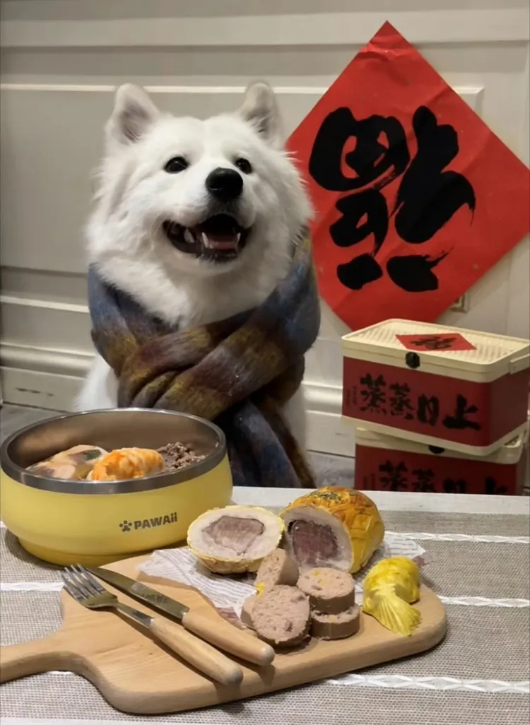 狗狗也有年夜飯可享用。翻攝自微博