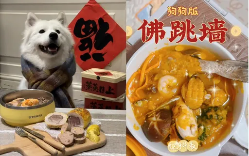 毛小孩也要過年!中國「寵物年夜飯」熱賣 網看菜單嘆:吃得比我好