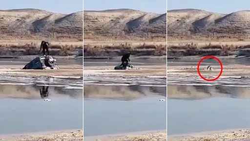 影片|吉普車硬闖「流沙河」 駕駛連人帶車都被吃了