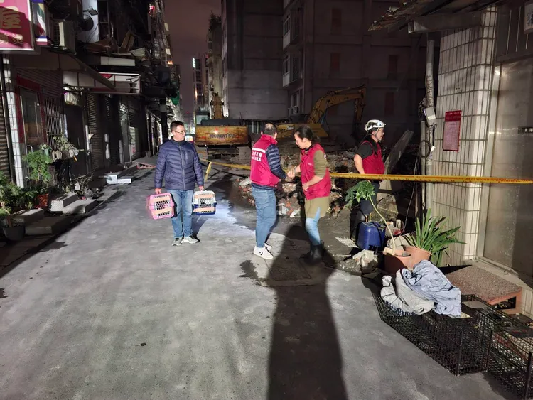 動補處人員深夜救出2隻貓。翻攝自王威元臉書