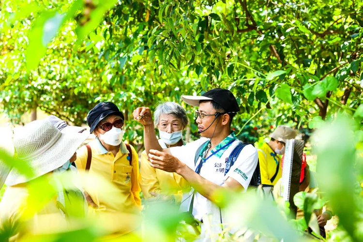 有都市綠肺之稱的巴克禮紀念公園，為府城之旅增添自然美景。翻攝畫面
