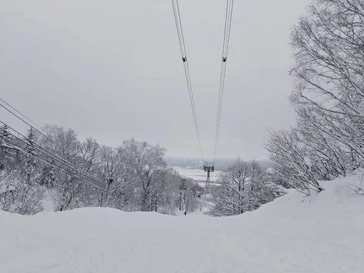 3生肖大寒財運旺 鋪路新一年