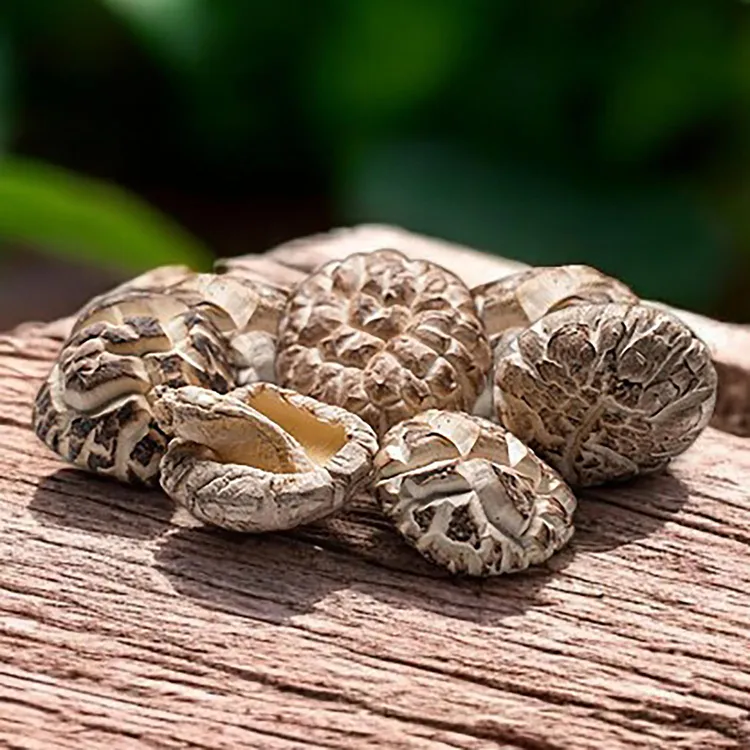 宮崎縣產天白冬菇木盒推薦價2500元。業者提供