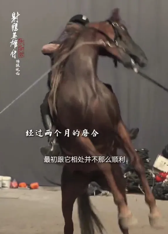 肖戰與小紅馬努力培養默契。翻攝京希夫人微博