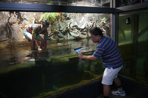 八弟清洗鱷魚的家 被阿龐看見眼中驚恐