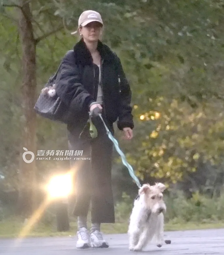 據了解，謝欣穎和王柏傑分手後，愛犬Cooper由謝欣穎照顧。特勤中心攝