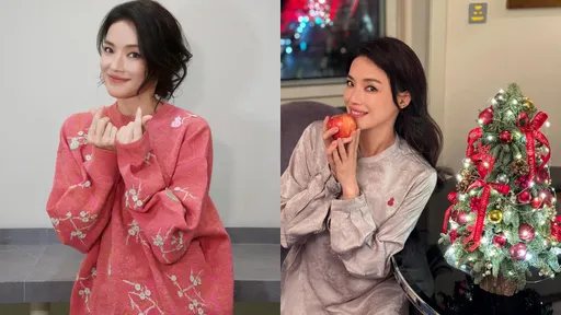 30年首次！舒淇鬧出大瞎事　搭機忘帶行李自己都傻眼