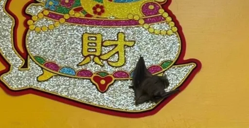 蝙「福」來送財!高雄婦全家出遊買刮刮樂嗨中100萬元