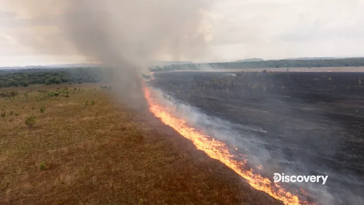 艾德抵達哥倫比亞奧里諾科河的當天，恰好遇到當地野火延燒不斷。Discovery提供